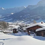 Cozy Swiss Mountain Daire *