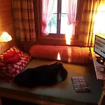 Daire Cozy Swiss Mountain
