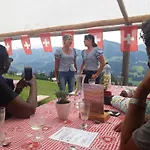 Cozy Swiss Mountain * Nesslau