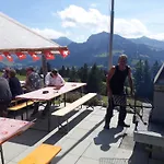 Cozy Swiss Mountain