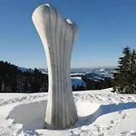 Cozy Swiss Mountain Nesslau