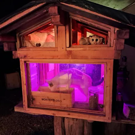 Apartament Saentis Chnorz *