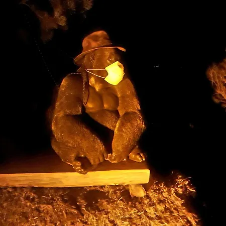 Apartament Saentis Chnorz Nesslau