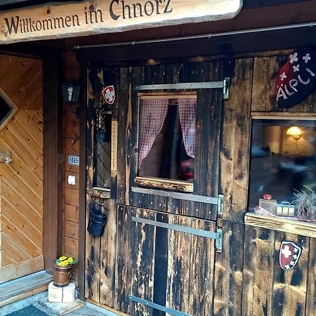 Cozy Swiss Mountain Nesslau