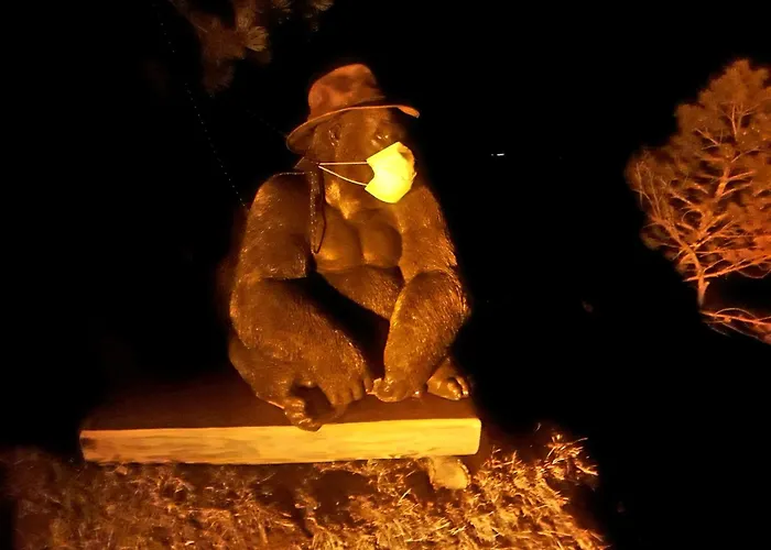 Lägenhet Saentis Chnorz Nesslau