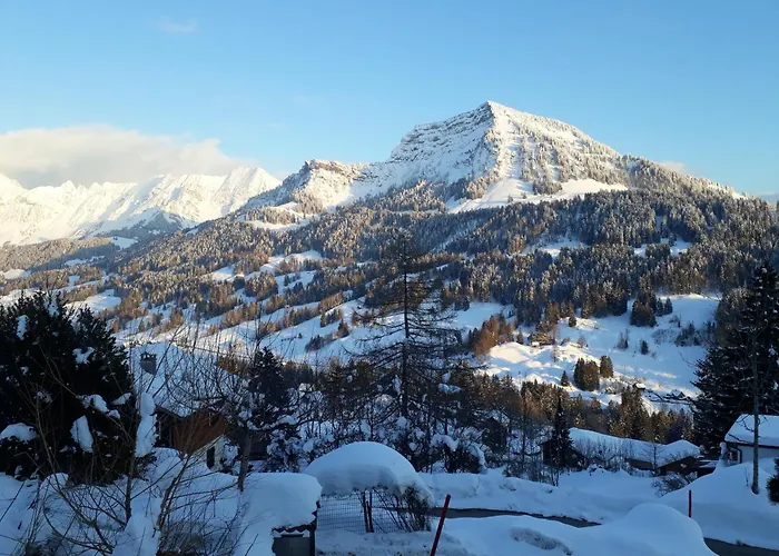 Lägenhet Saentis Chnorz