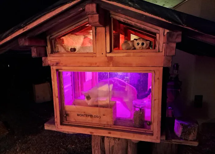 Appartement Saentis Chnorz *